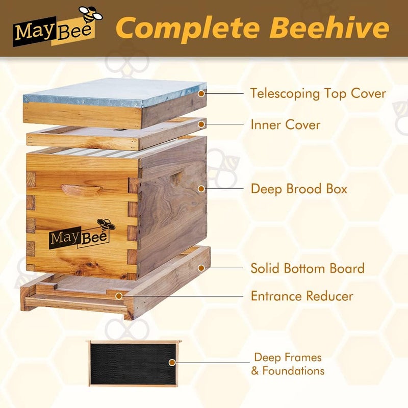 MayBee 5-Frame Nuc Beehive for Bees Complete Bee Hive Box Kit with Metal Roof Includes Wooden Frames & Waxed Foundations for Langstroth Beekeeping - Image 2